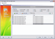 EMS Data Import 2005 for SQL Server screenshot